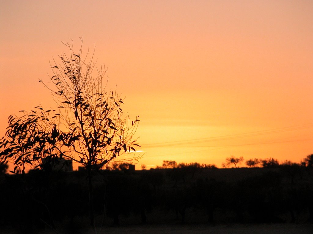 Couché de soleil 2 Djerba by R. MAURIN