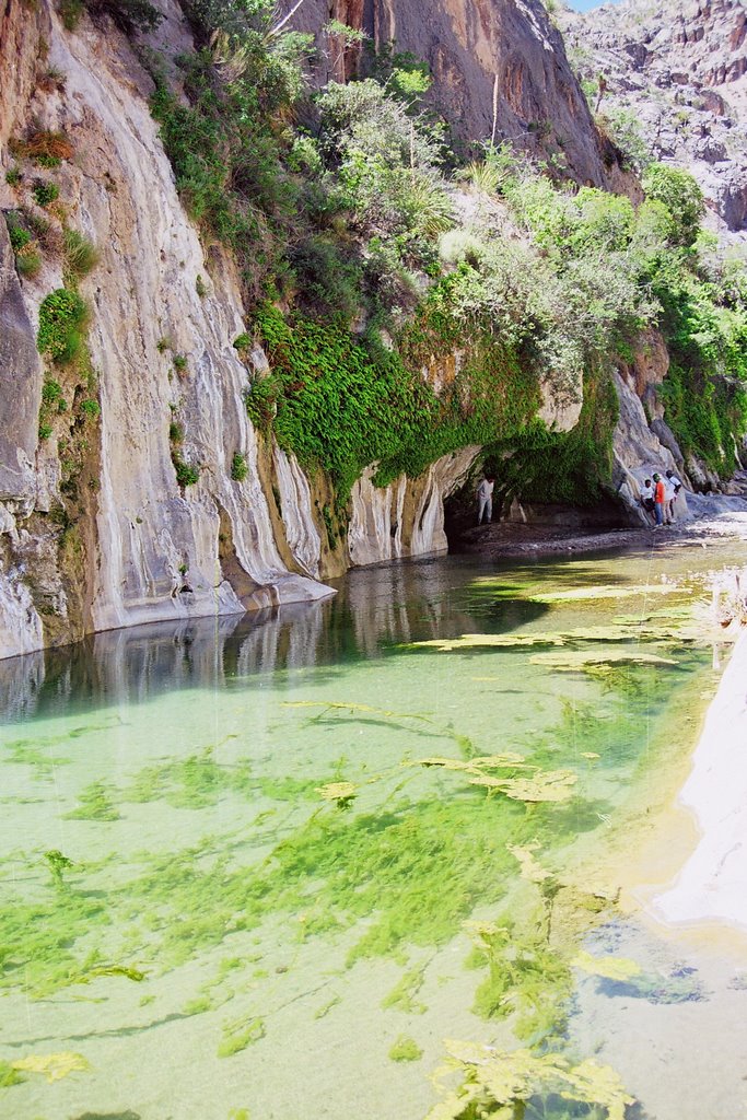 Aguas verdes de benavides by Missael de la Rocha