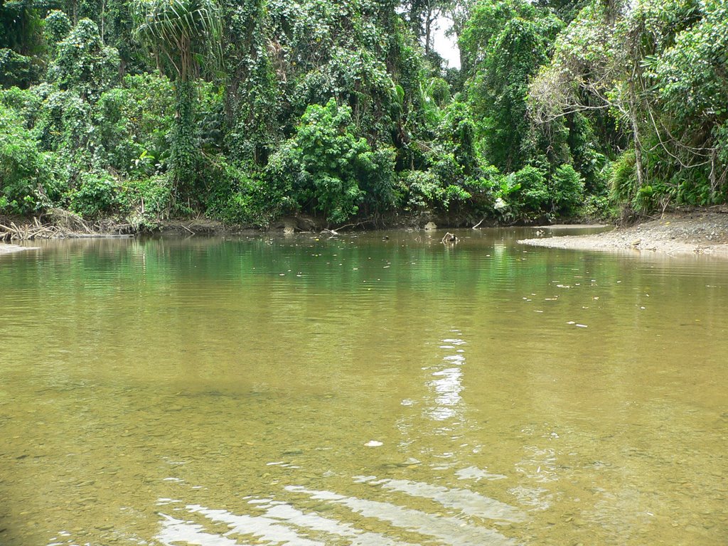 Gunung Benteng mt., valley of unnamed river (2007.IX) by DmitryTelnov