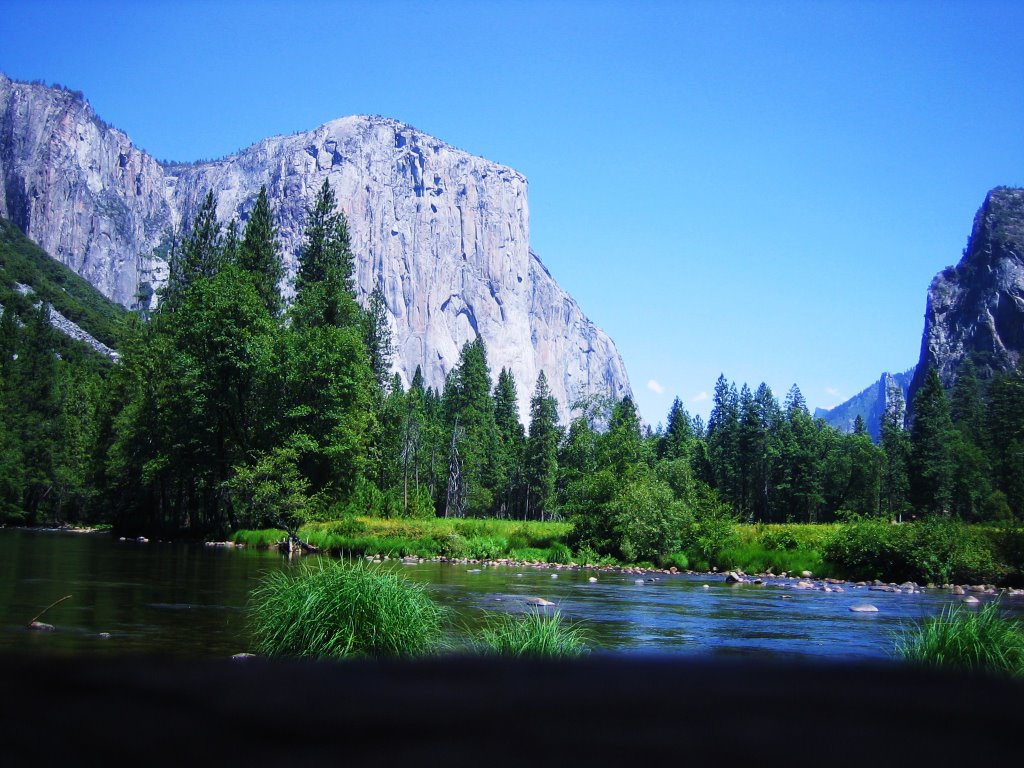 Yosemite National Park Ca by Marize Almeida