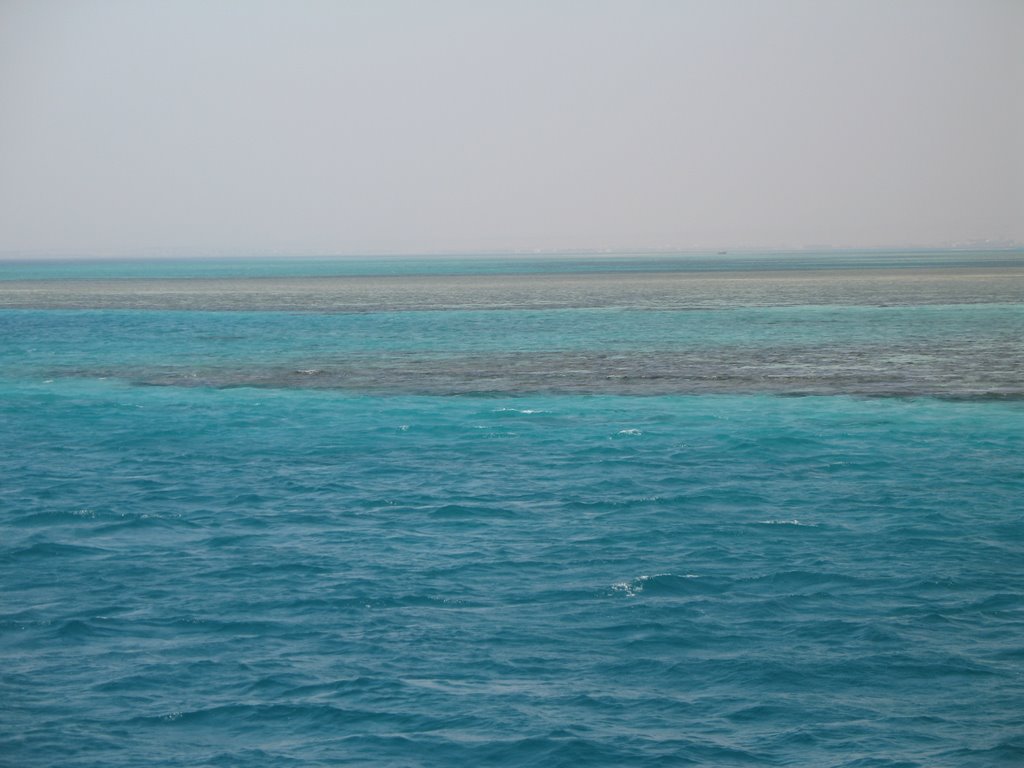 Coral Reef, Red Sea, Hurghada, Egypt by marcin.maduss