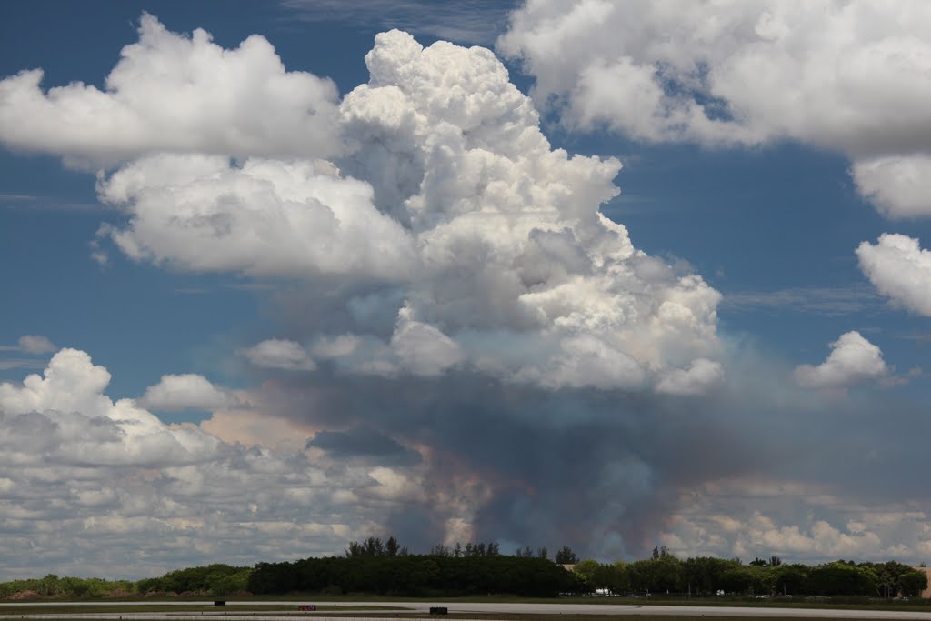 Tamiami Airport by lestermoreno