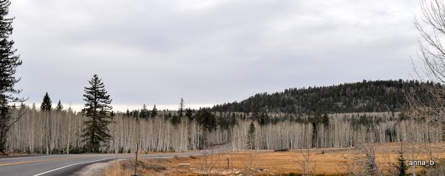 CEDAR CANYON, UTAH by Anna Bikkes