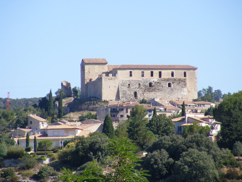 Chateau de Greoux les bains by lau.vallet