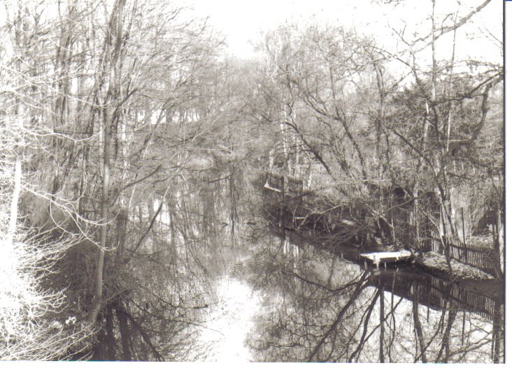 Blick von der Langen Brücke, Breite Strasse by E. Tölch