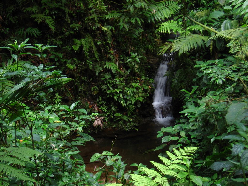 Cascata a Monte Verde by lorenzodq