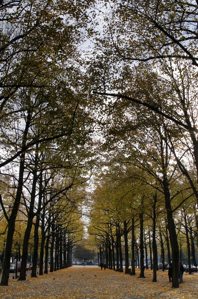 Lange Voorhout in herfsttinten by karel maatkamp