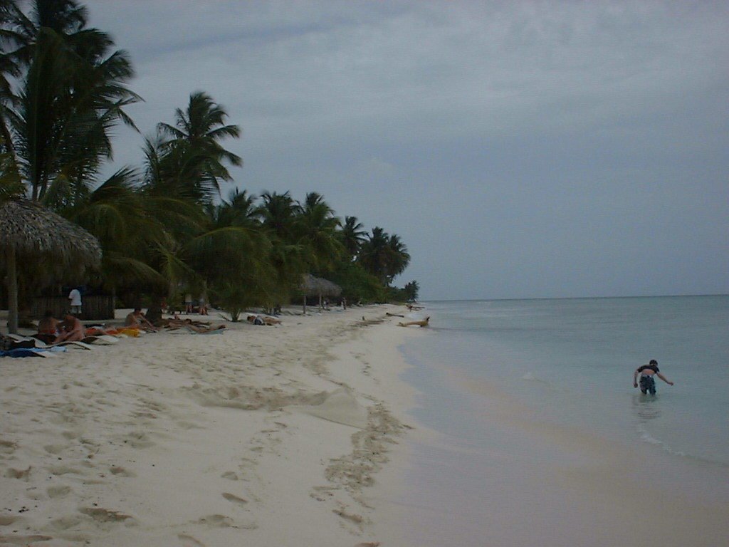 Strand auf der Insel Saona by Andreas Weisheim