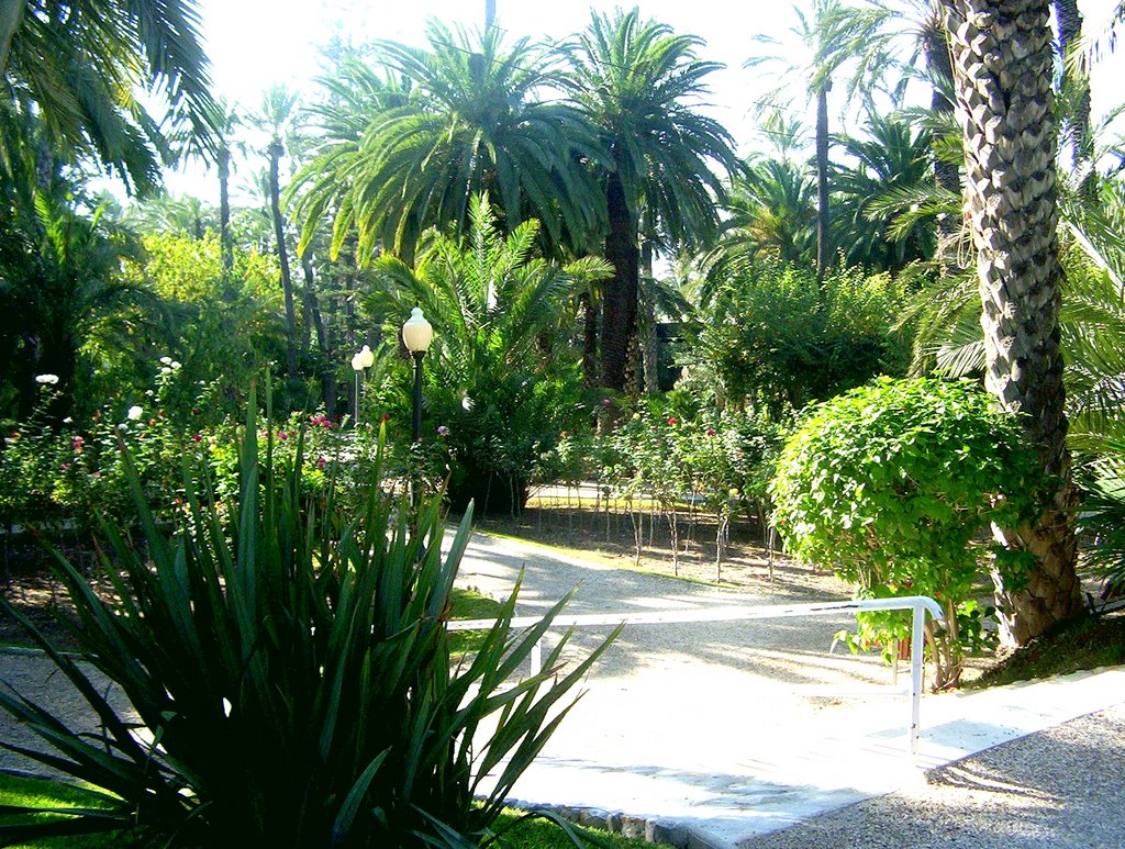 Elche, Parque Municipal (acceso Norte), Palmeral de Elche Patrimonio de la Humanidad (World Heritage) by Alejandro S.