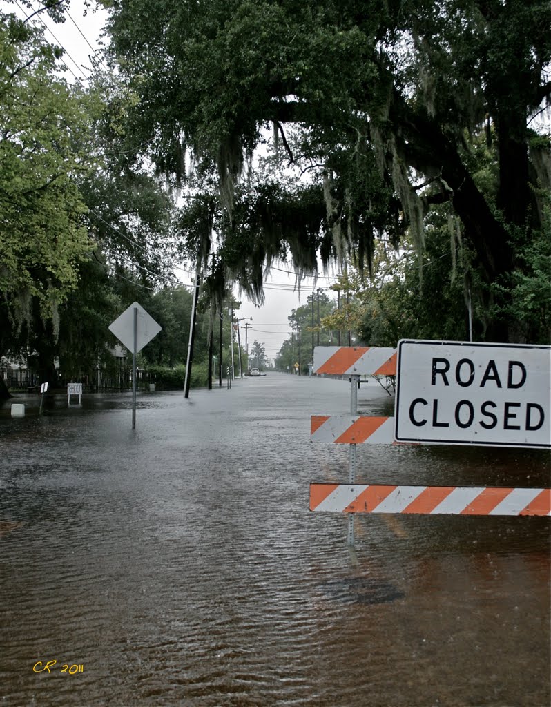 Main St. Flood by reelintense