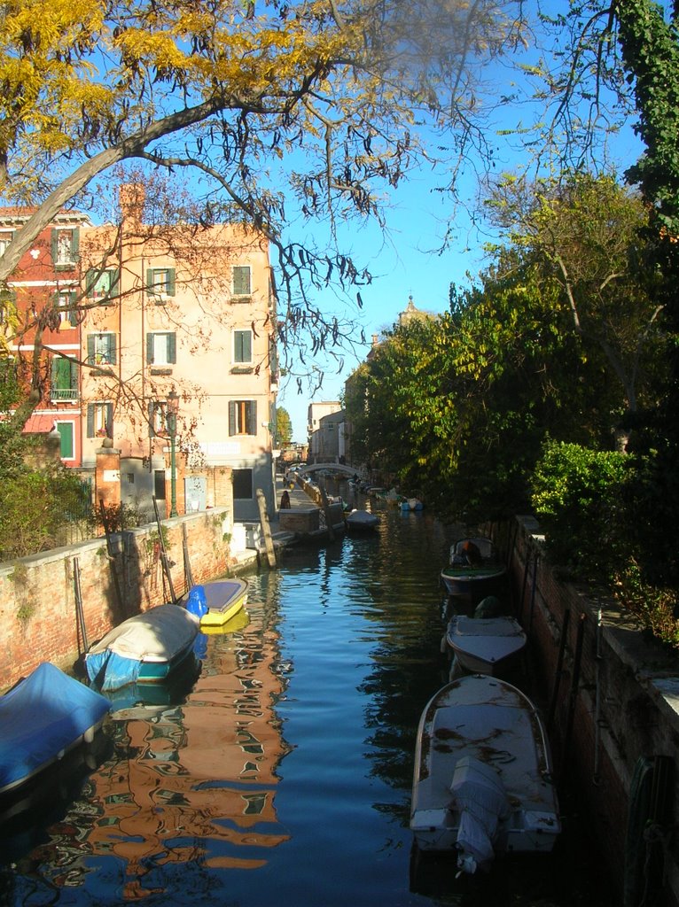 Castello, 30100 Venezia, Italy by Michele Modica