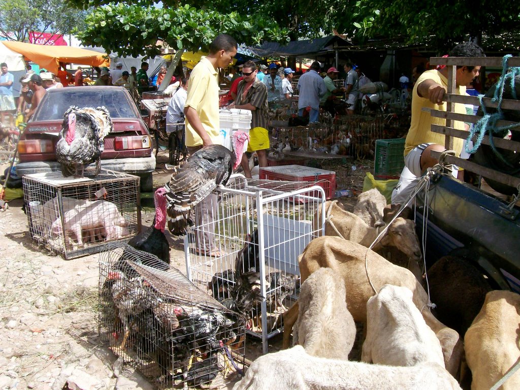 Feira da Parangaba by Claudio Oliveira Lim…