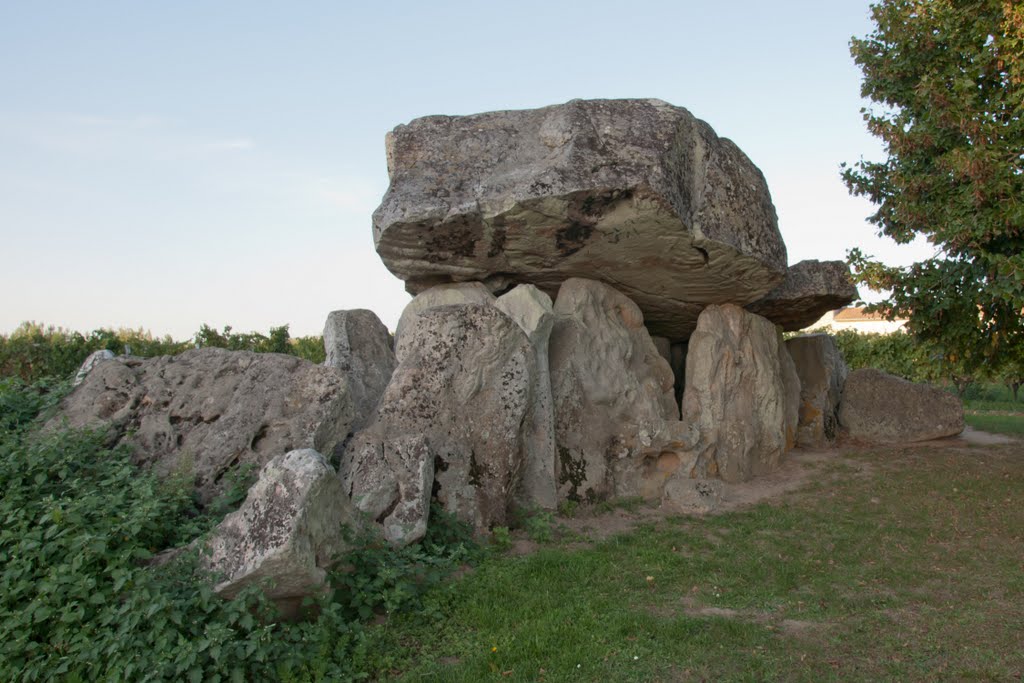 Allée couverte de Pierre Folle ( Dolmen ) à MONTGUYON - 17270 - Charente-Maritime - FRANCE by Pierre THIBAULT