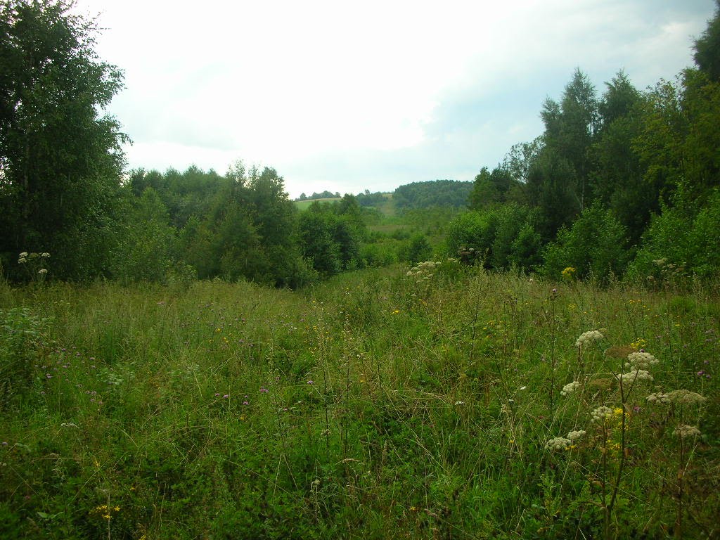 Sudawskie - Razgulnie VII 11.Laskowska Góra na horyzoncie. by Jacek Firmanty