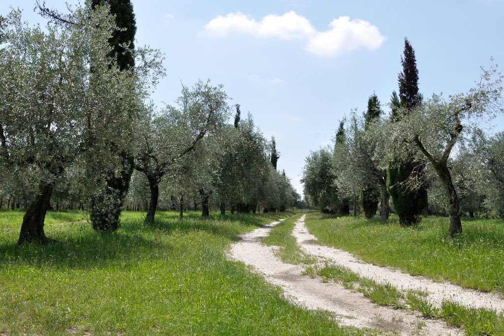 Laghetti di Sovenigo by cristilor