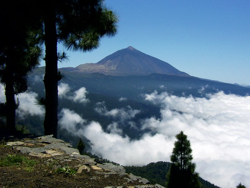 Volcano de Teide, 3718 m by Dirk Wenz