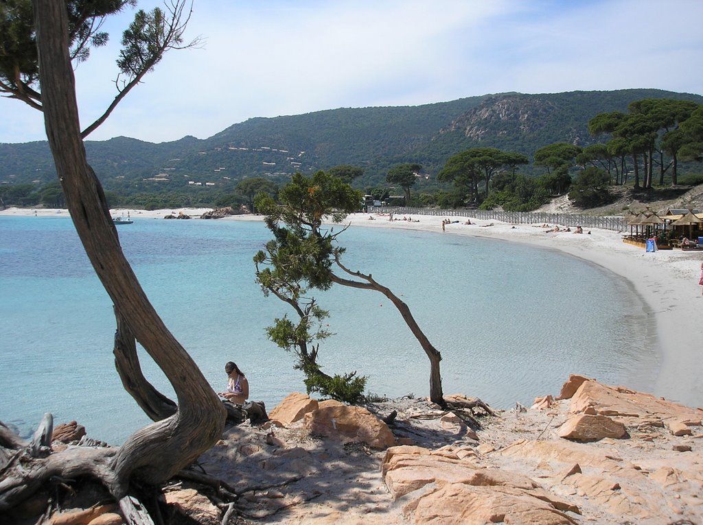 Palombaggia beach by luigi500