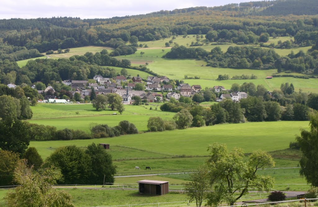 Blick auf Isselbach (vom Rübenstock, Ettersdorf, gesehen) by Dieter Wick