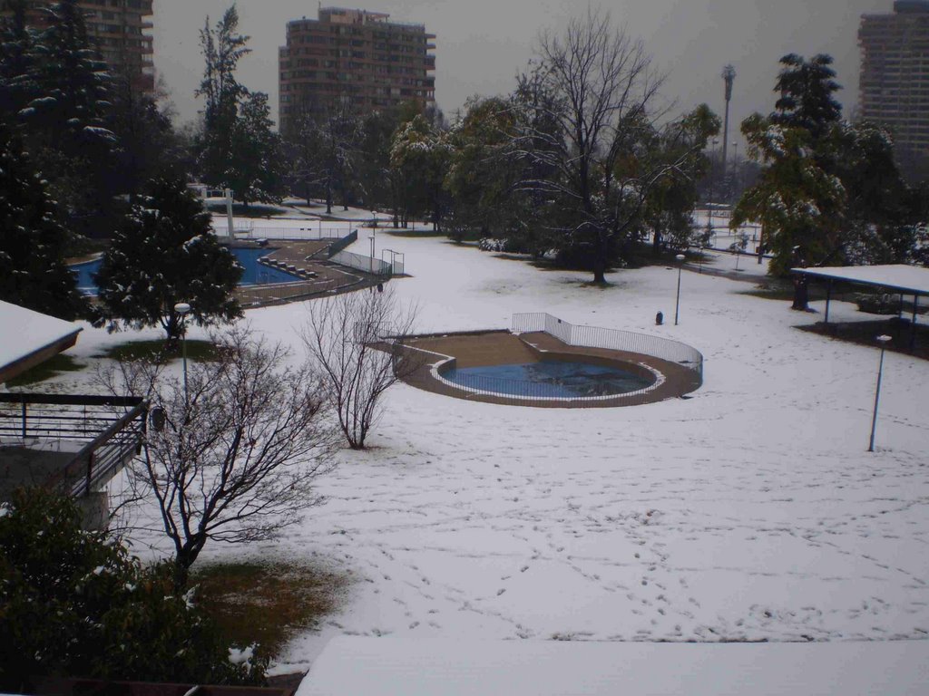 El palestino con nieve by tito ruiz