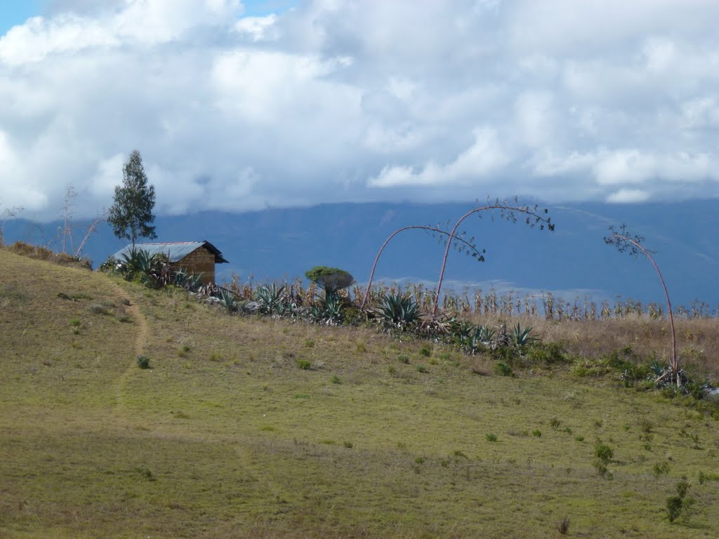 Alrededores de Lamud by helicongus