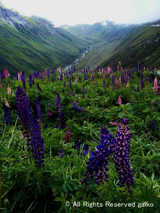 Furka Pass -Reap- by gaiko