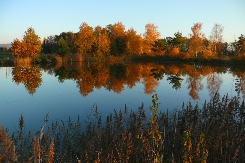 Autumn reflections by © alfredschaffer