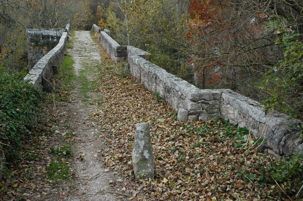 Le pont médiéval à becs (10 novembre 2007) by Christophe Trinquier