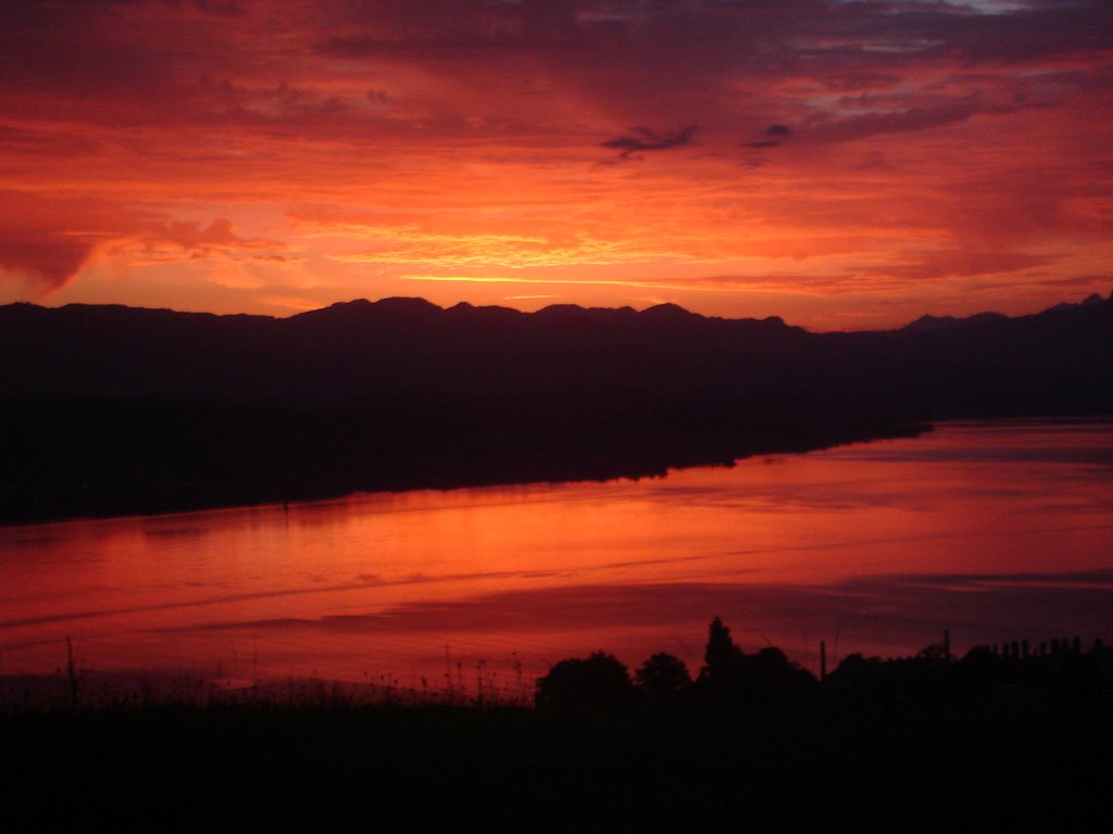 Sunrise at the lake of zurich by ditti brook by ditti brook