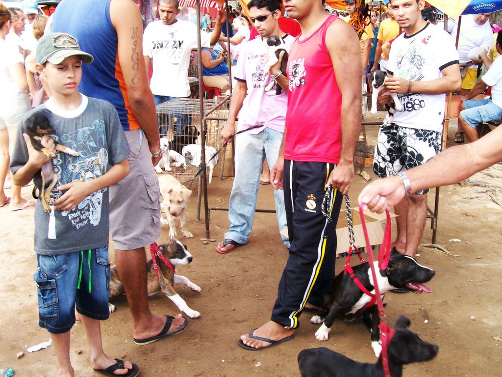 Feira da Parangaba (secção dos cães) by Claudio Oliveira Lim…