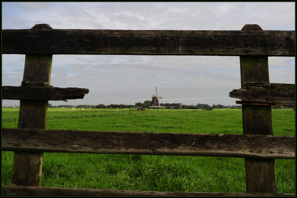 Framing fence by Javerburg