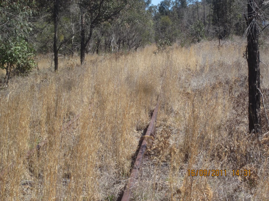 Disused Railway Line South of Tenterfield by Lobster1