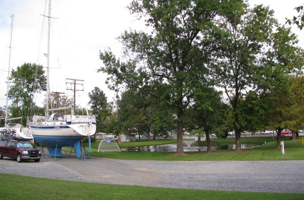 Marina Pond by Cinza