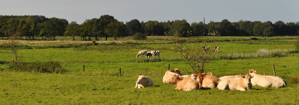 Vallei van het natuurgebied Mensinge by H.Bouwstra