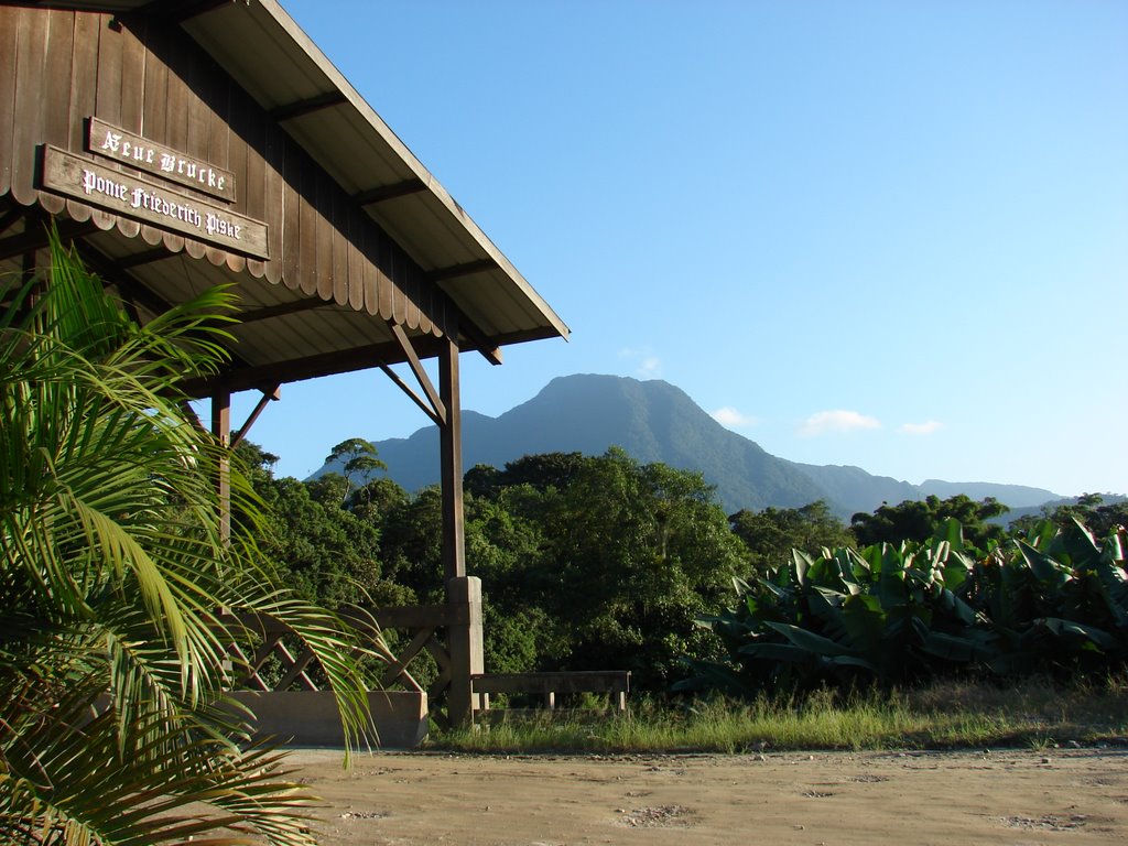 Ponte Friederich Piske, estrada do Pico by RicardoPozzi