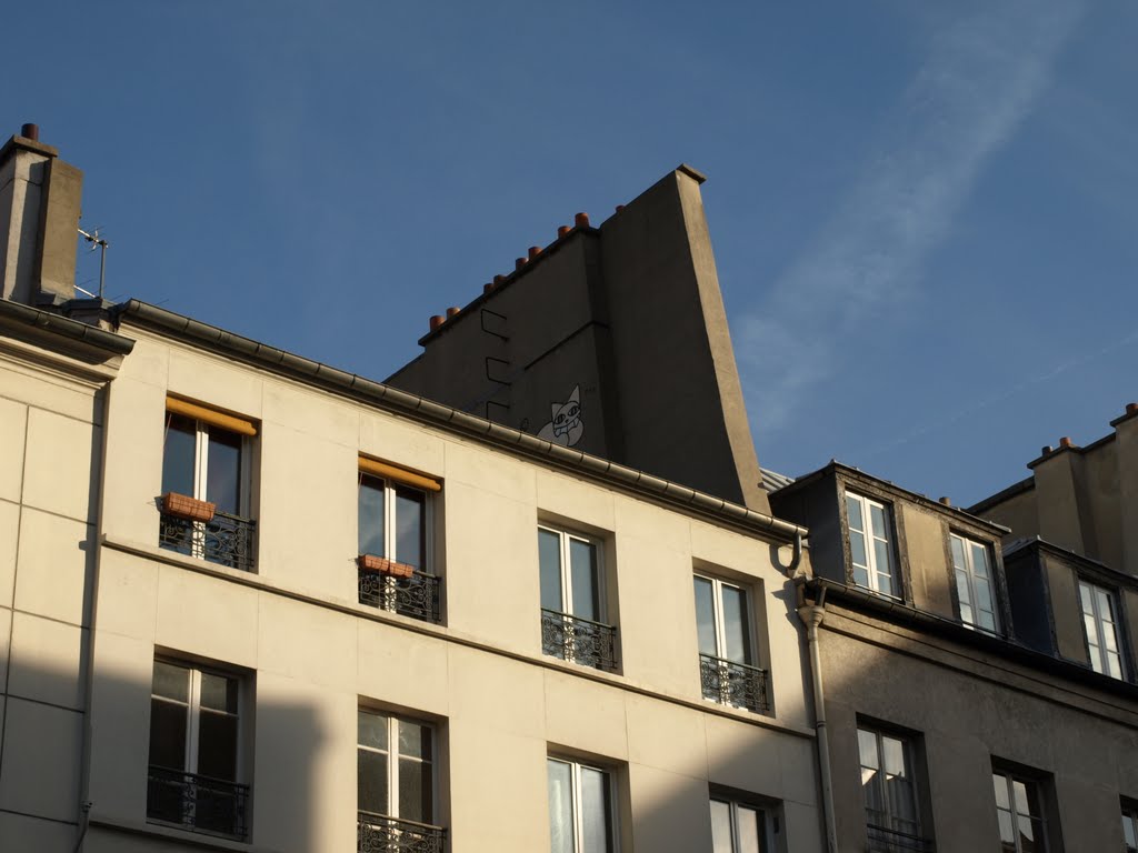 Graffiti op de Rue du Faubourg Saint-Antoine 57. Dezelfde poes is te zien bij het Centre Georges Pompidou en op de Avenue Daumesnil (zuidzijde) tussen de Rue Traversière en de Avenue Ledru-Rollin. by Hans R van der Woude