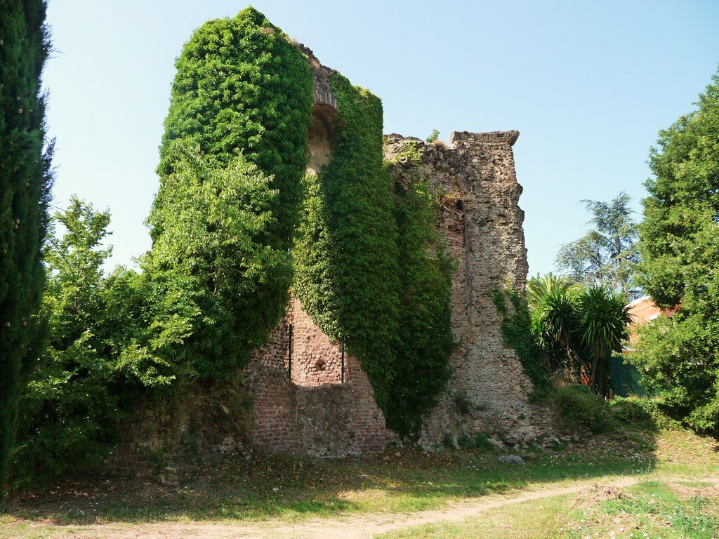 Les vestiges de l'aqueduc romain de Fréjus. by alxiskaff