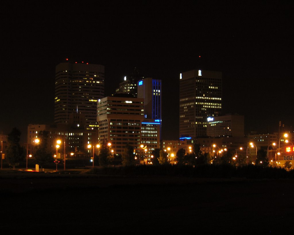 Winnipeg City landscape shot from this point by WpgDavid