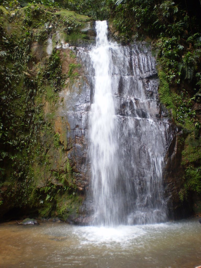 Cachoeira da Malú by Rogério Lezino