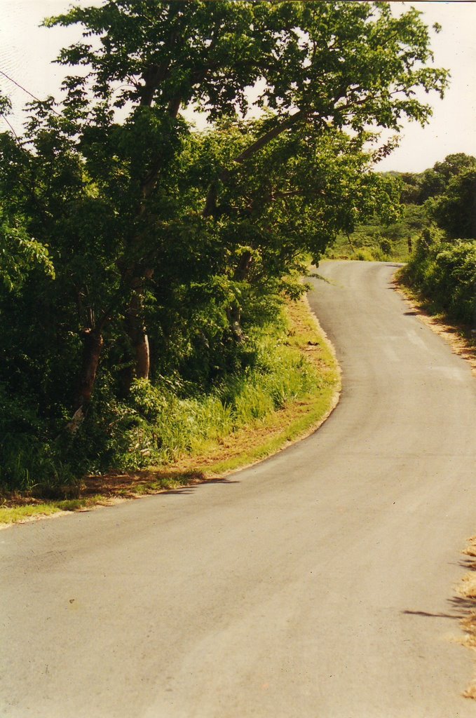 Sunny road by kikonyc