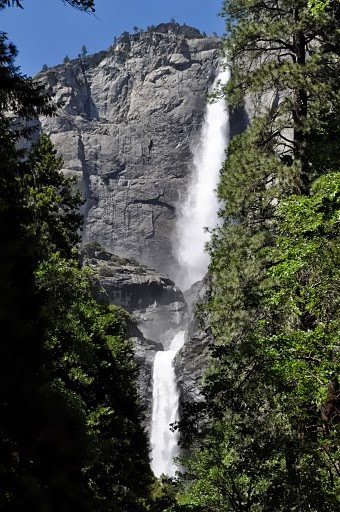 Yosemite National Park by Jeny Plante