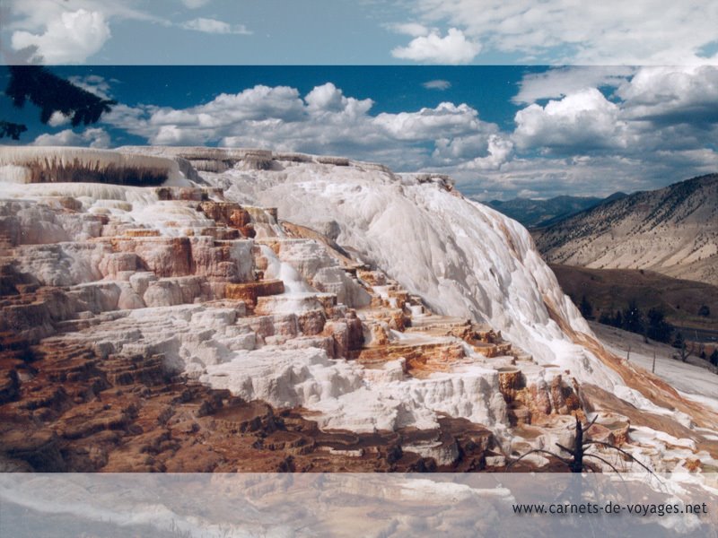 Mammoth Hot Springs, Yellowstone (by LR) by Laurent Reich