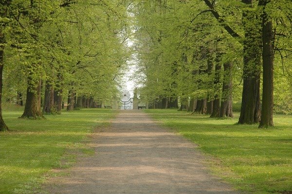 The chateau's park at Horovice by Vladimír Toncar