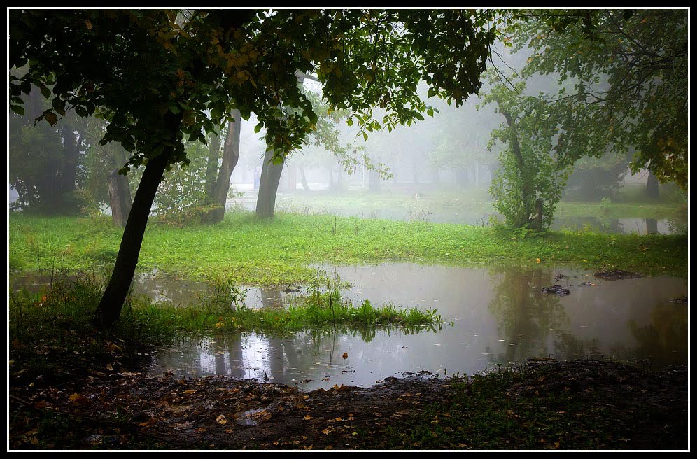 Утро в парке Гагарина - Morning in the Gagarin Park by Green-in