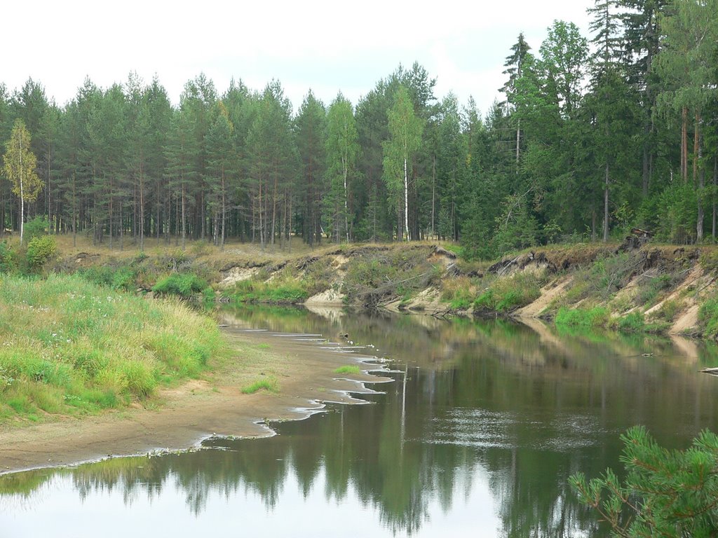 Valley of River Gauja near Marsi vill. (2006.VII) by DmitryTelnov