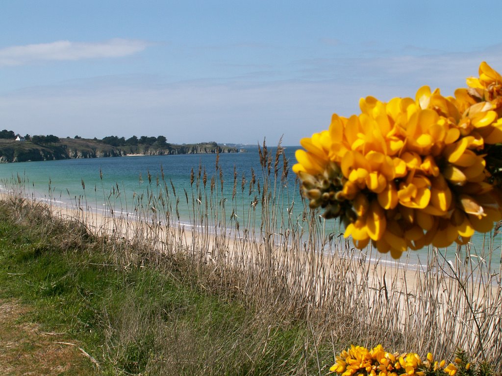 Belle-île-en-Mer by foggie