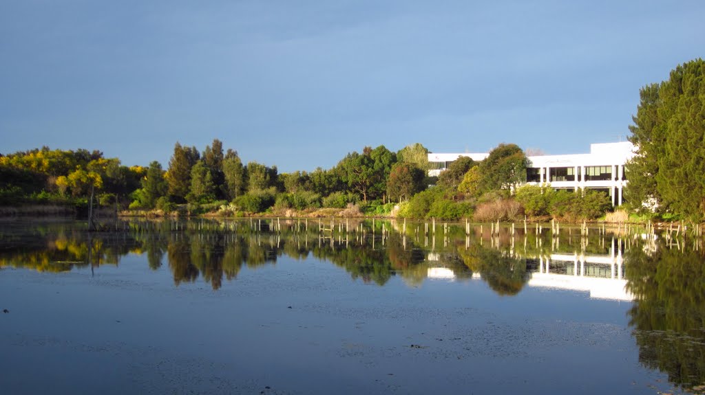 A view of Mill Pond from Botany Road by zorroa3