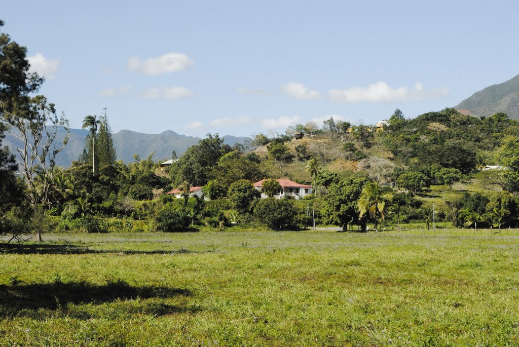 Masion Calédonienne de Dumbéa Rivière by ml.claude