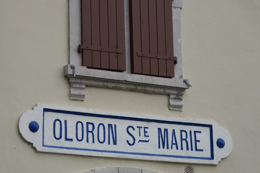 Chemin de Fer Oloron-Sainte-Marie - Canfranc, Gare Oloron-Sainte Marie, F/E by roland.fr