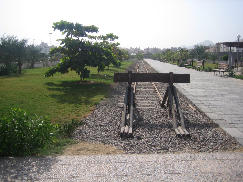 Hicaz Demiryolu 3 RAIL by husni