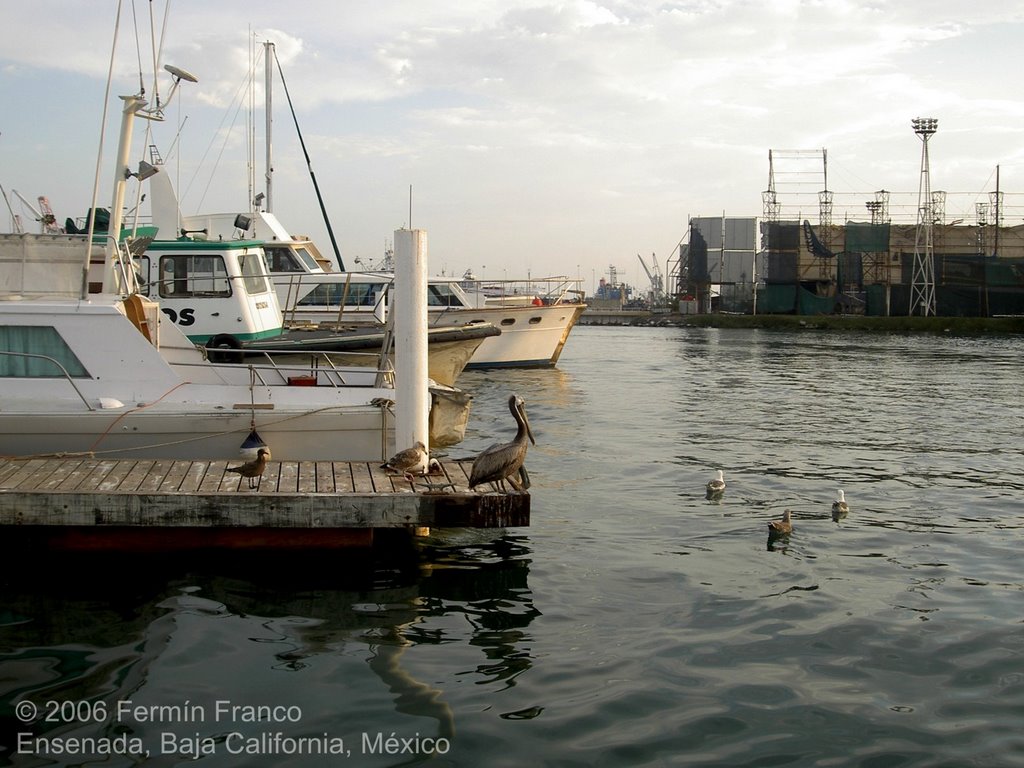 Muelle y astilleros by ferminfm